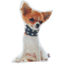 Pomeranian Dog Shape Size: 10"x16" Animal Shaped Pillow, Filled Pillow