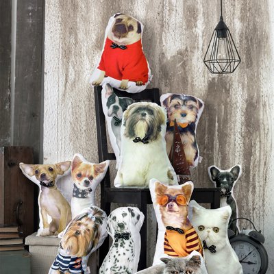 Animal Shaped Pillow, Filled Pillow