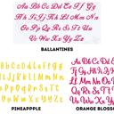  Personalized Makeup Bag | Embroidered Monogram Cosmetic Pouch