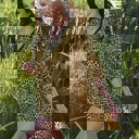  Leopard Cover Up