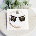  Hand Painted Team Mascot Studs | 25 Styles