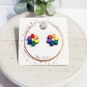  Hand Painted Rainbow Flower Daisy Studs