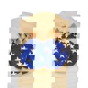  Stars & Stripes | Style 6