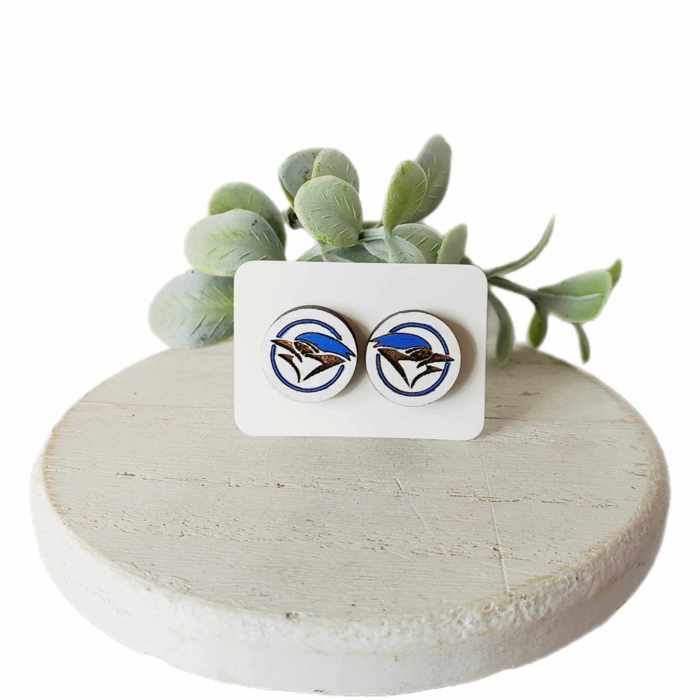 Hand Painted Team Mascot Studs | 25 Styles