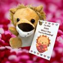  Valentines Day Plush Stuffed Animal Key Ring with Personalized Laminated Card