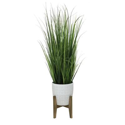 50" Onion Grass in Cathedral Planter
