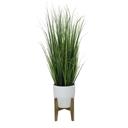  50" Onion Grass in Cathedral Planter