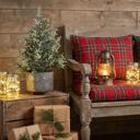  19" Frosted Tree in Snowflake Planter