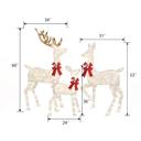  3-Piece White Lighted Christmas Deer Family Set