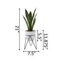  21" Snake Plant in Marble Planter