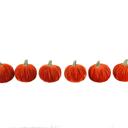  Set of 6 Velvet Pumpkins