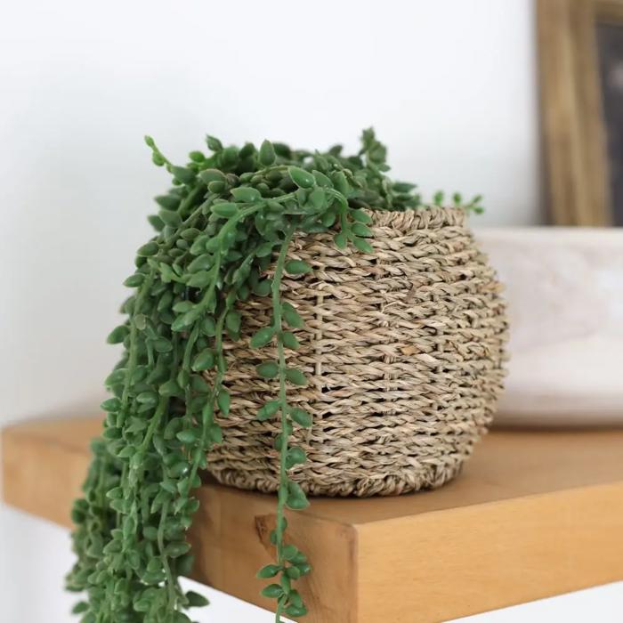 17.5" String of Beads in 6" Basket 