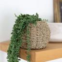  17.5" String of Beads in 6" Basket 