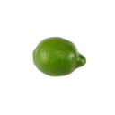 Green Realistic Faux Lemon – Artificial Fruit Décor