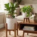  Set of 2 10' & 8" Illuminati Ceramic Planter on Wood Stand