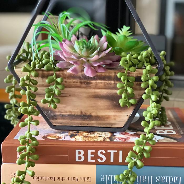 Succulent Mix in Wood Hanging Planter