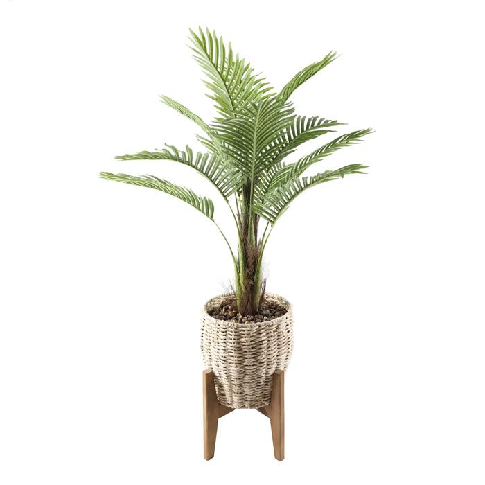 45" Palm in 10" Basket