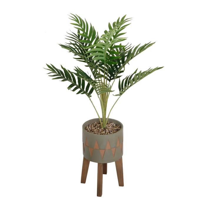 36" Palm in Olive Cement Planter 