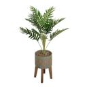 36" Palm in Olive Cement Planter 