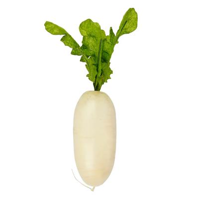 Artificial Long Radish