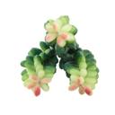  Artificial Donkey Tail Green Succulent