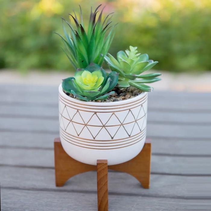 Succulent Mix in Gold Geo Planter 