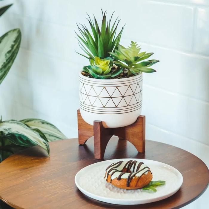 Succulent Mix in Gold Geo Planter 