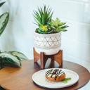 Gold Succulent Mix in Gold Geo Planter 