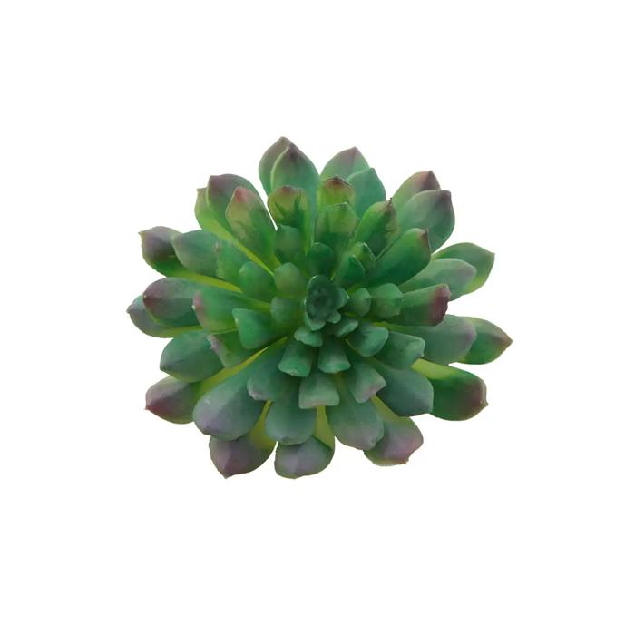 Artificial Irish Mint Succulent with Stem