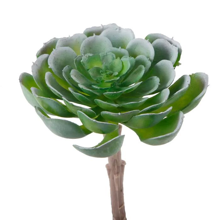 Artificial Large Echeveria with Stem
