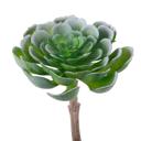 Green Artificial Large Echeveria with Stem