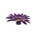Purple Yellow 10" Artificial Faux Daisy with Suction Cup