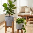   Set of 2 10" & 8"  Star Ceramic Planters