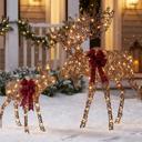  2-Piece Moose Family