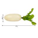  Artificial Long Radish