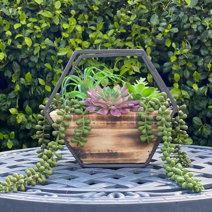 Succulent Mix in Wood Hanging Planter