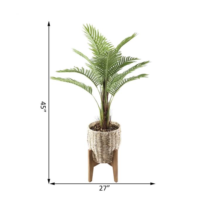 45" Palm in 10" Basket