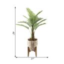  45" Palm in 10" Basket