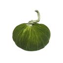  10.75" Giant Velvet Pumpkin