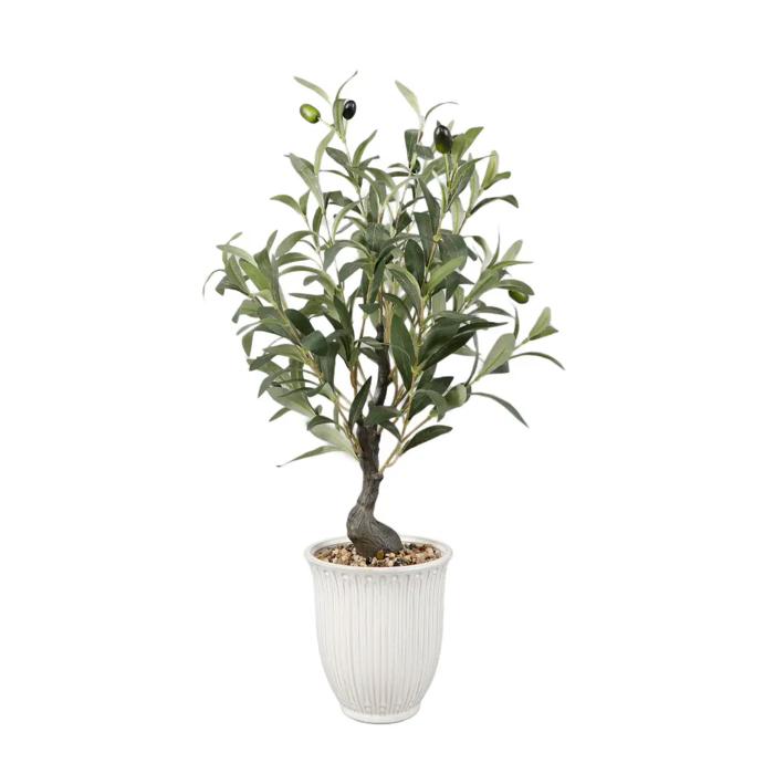 25.5" Olive tree in 6" Texture Ceramic Pot 