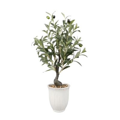 25.5" Olive tree in 6" Texture Ceramic Pot 