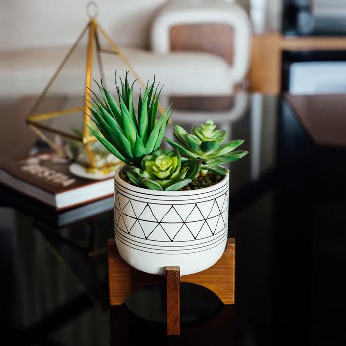 Succulent Mix in Gold Geo Planter 
