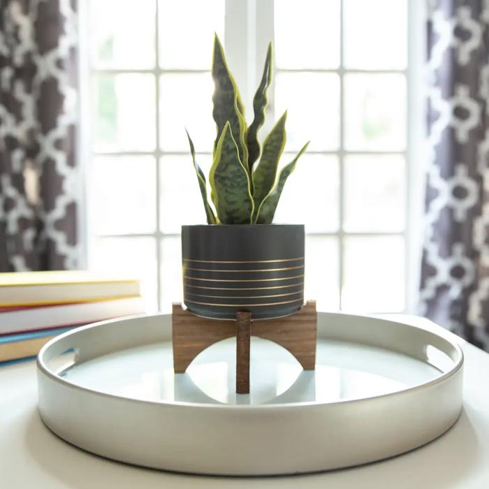 4.75" Gold Line Planter