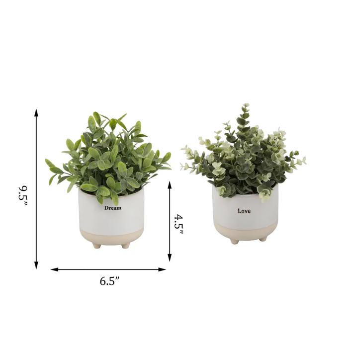 Set of 2 Laugh & Dream Planters