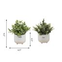 Set of 2 Laugh & Dream Planters