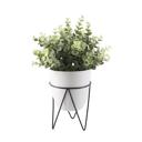  12" Eucalyptus in Planter with Metal Stand