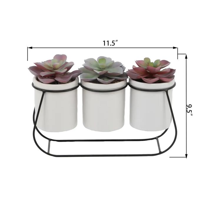 Succulents in Metal Holder