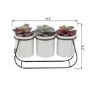  Succulents in Metal Holder