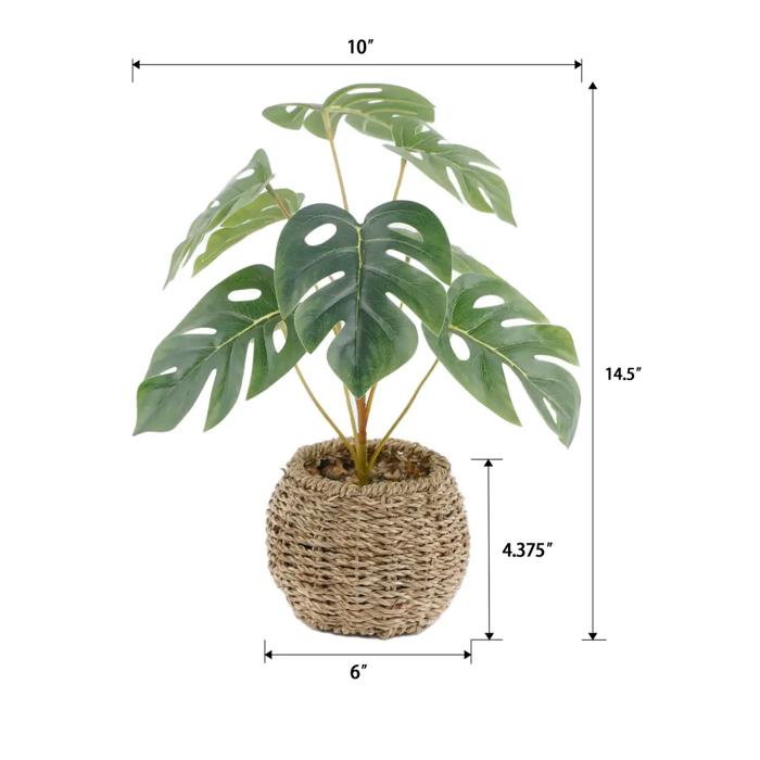 15"H Split Leaf in 6" Basket 