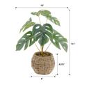  15"H Split Leaf in 6" Basket 